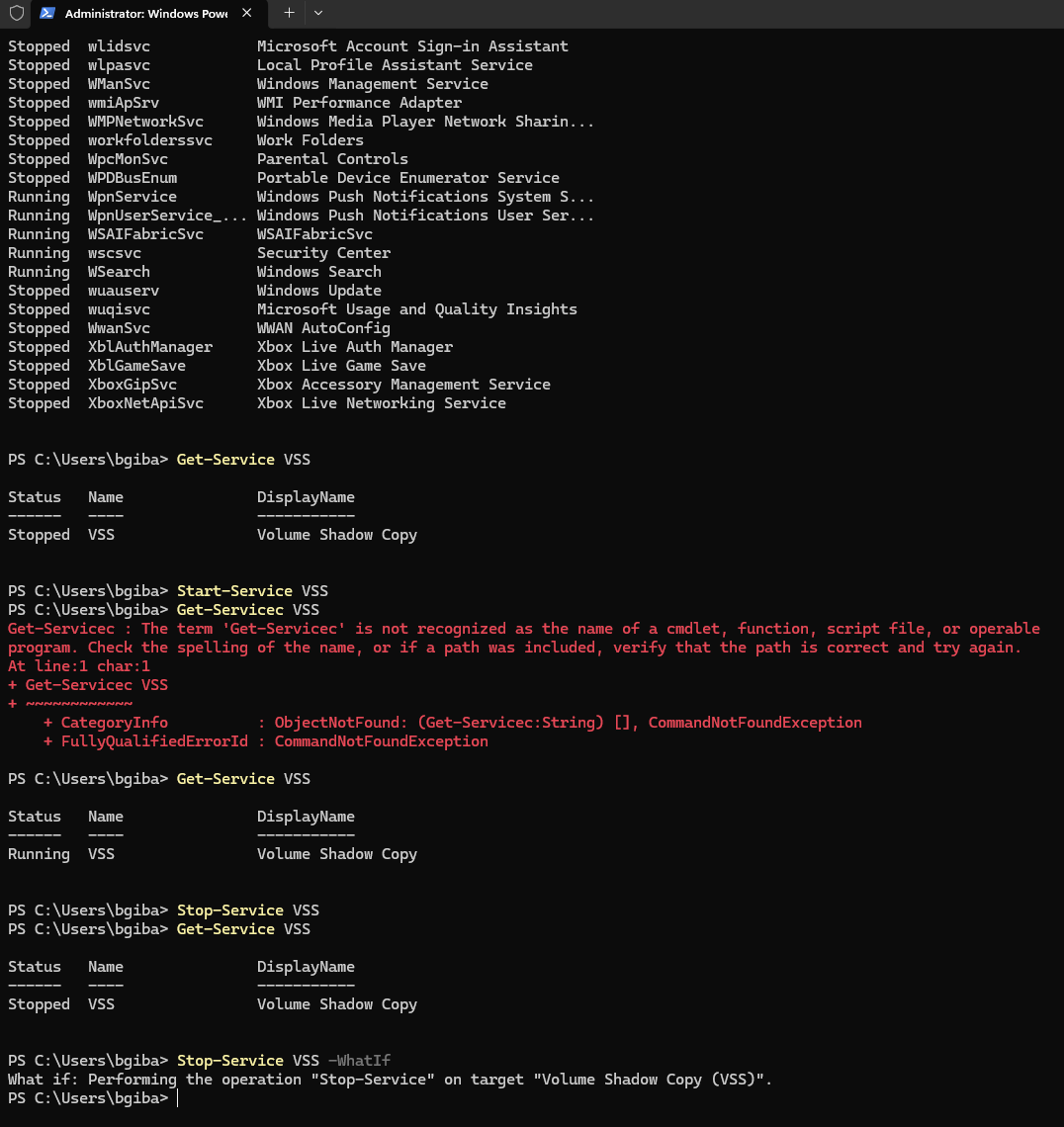 Windows Services Management